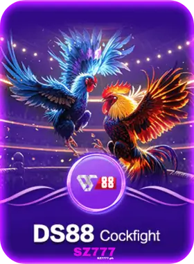 Sz777 24 Cockfighting